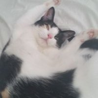 Erin Rafferty (@erin_adams7) 's Twitter Profile