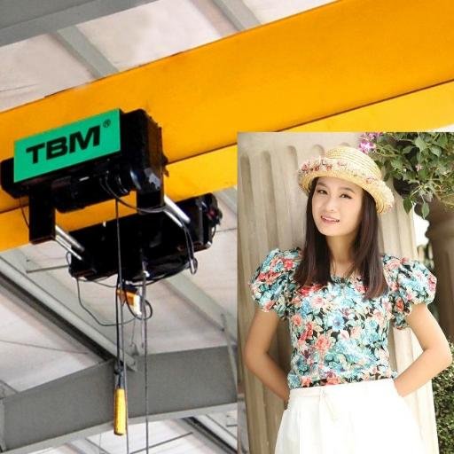sales of TBM lifting equipment corporation(inport &export Co.,LTD) Product:hoist.crane,trolley,sling,link tell(whatsapp): +86-18368801248 skype:evaliu06