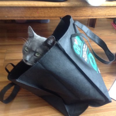 revdev78's profile picture. 