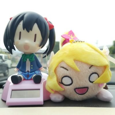 Sachi🐬さんのプロフィール画像