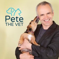 Pete Wedderburn(@petethevet) 's Twitter Profile Photo