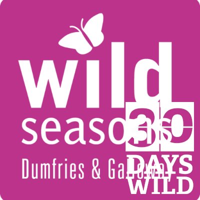 Wildlife events and activities, through the seasons, led by countryside experts in Dumfries and Galloway. Stay up to date with what's going on, here.