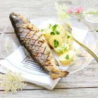 Truite Des Pyrenees (@truitepyrenees) 's Twitter Profile