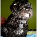 AJ Jackson - @masoet - Twitter