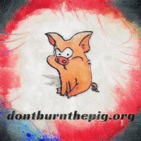 dbtp (@dbtp_org) 's Twitter Profile