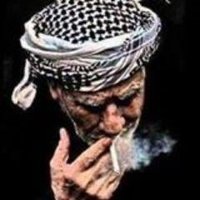 eqolojik modernite (@bazid_el_kurdi) Twitter profile photo