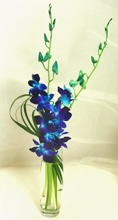 Helping you express yourself is our business! Anytime Flowers in Saint Paul delivers unique floral designs six days a week to the twin cities.