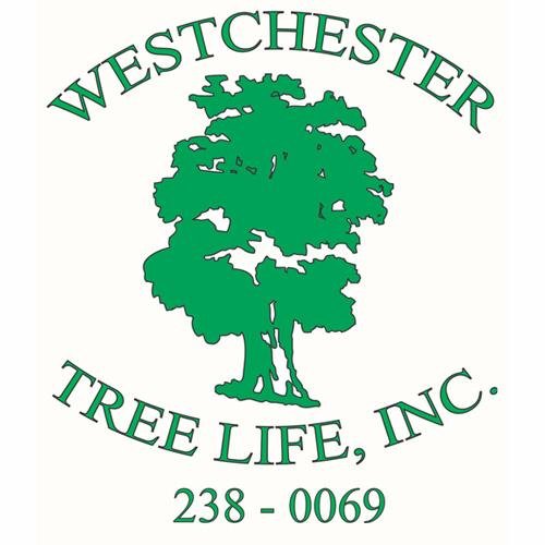 Providing quality, affordable tree care in Westchester since 1985! IG: @westchestertree #treecare