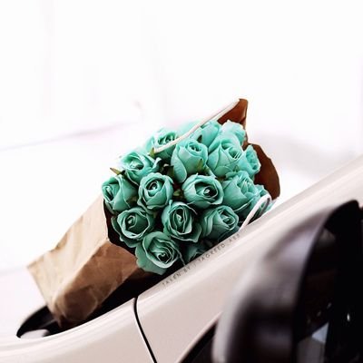 mgody11100's profile picture. كرة القدم السعودية كرة القدم السعودية كرة قدم أوروبية و عالمية الموسيقى كوميديا سعودية الكوميديا كوميديا عربية