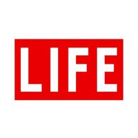 ENJOY MY LIFE (@enj0ymyl1fe) Twitter profile photo