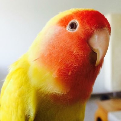 De_clercq_Ellen's profile picture. 