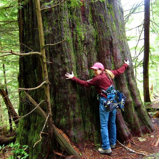 Everyday adventures & environment @ Pacific Northwest Seasons blog. PNW born & raised. Hiking/skiing/kayaking/arts/environmental issues/tea/food/more!