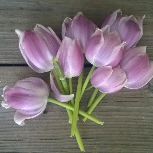 BritaEngh's profile picture. Mom, Big Sister, science geek, wife.
Lover of books, recipes, musical theater, and the Bloggernacle.