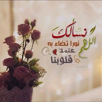 tooth177's profile picture. 