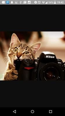 AndreAlexOff's profile picture. 