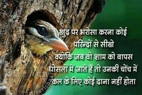 AshishkumarDaba's profile picture. 