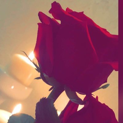 العتيبي