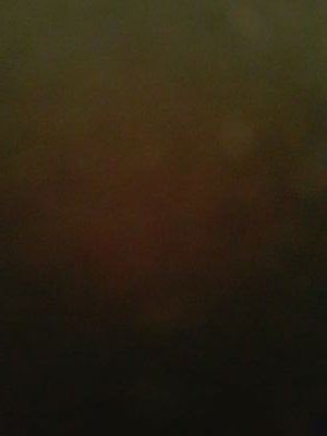 DamlaZvural's profile picture. 