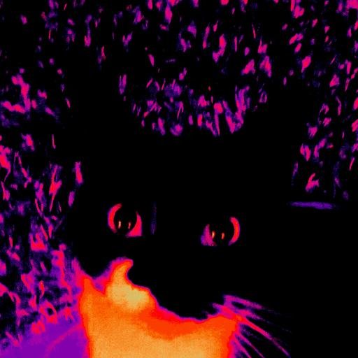 Inkflax_Art's profile picture. Surreal images, patterns drawn onto skateboards and spooky stuff. 
New shop here: https://t.co/TzYVO5yij5