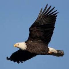 Abercrombie5150's profile picture. 