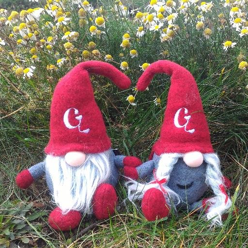 Create fun and thoughtful moments with Gnomes! #Gnoments