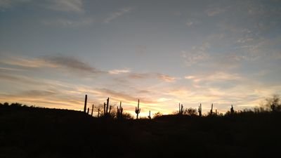 deafunka's profile picture. 