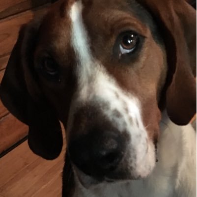 joeb1119's profile picture. •|||||•