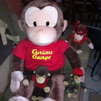 Phyllis Gelman-Mash (@paulatum) 's Twitter Profile