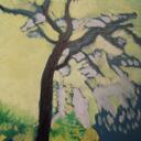 matilda scott - @matildascott - Twitter