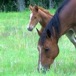 jntpierce3's profile picture. 