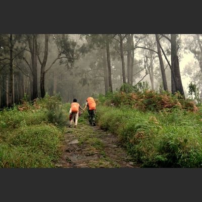 damarpetruk's profile picture. mengintip indonesia lewat kamera