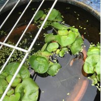 heddon (@heddongibson) 's Twitter Profile Photo heddon (@heddongibson) 's Twitter Profile Photo