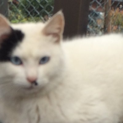 daichi_abe's profile picture. 