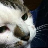 wrrr (@we_ru_ru_ru) Twitter profile photo
