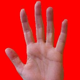 Gianoli_D's profile picture. 