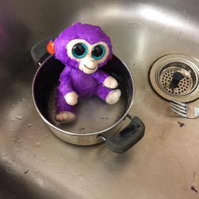 Squasher24's profile picture. Basically a sports addict with some other minor hobbies