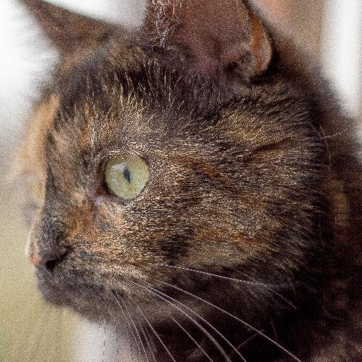 kranewaken's profile picture. 