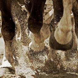 ruby_wadhwa's profile picture. 