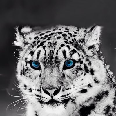 Adam192310291's profile picture. Xbox Gamer for 360/XB1 Competitive player and Zombie slayer