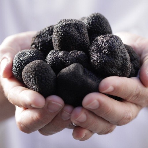 Biggest Grower and supplier of fresh South African Black Winter Truffles.