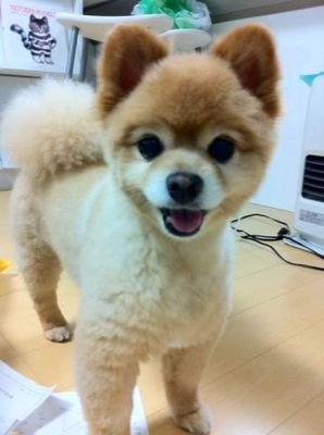 cGCbn98RXos87E0's profile picture. ミツバチのように働く毎日