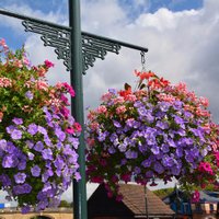 Henley in Bloom (@henleyinbloom) 's Twitter Profile Photo Henley in Bloom (@henleyinbloom) 's Twitter Profile Photo