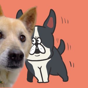 ららんさんのプロフィール画像