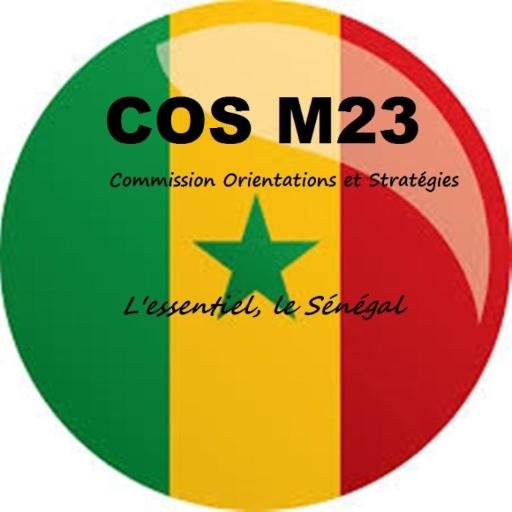 La COS M23 est un mouvement de jeunes qui œuvre pour le renforcement de la gouvernance démocratique et la participation politique des jeunes au Sénégal.