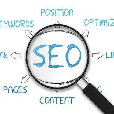 SEO Expert