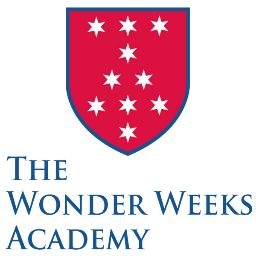 Would you like to know more about a baby’s mental health and development? The Wonder Weeks Academy will give you insight into how an infant’s mind truly works…