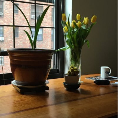 hicks_qrwllc's profile picture. Books Books