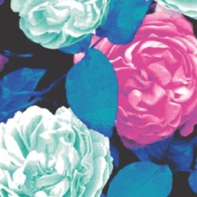 snrw3925's profile picture. ☁️