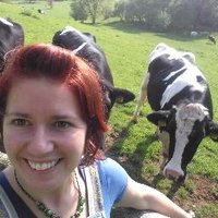 Lisa Morgans(@LisaMorgansVet) 's Twitter Profile Photo