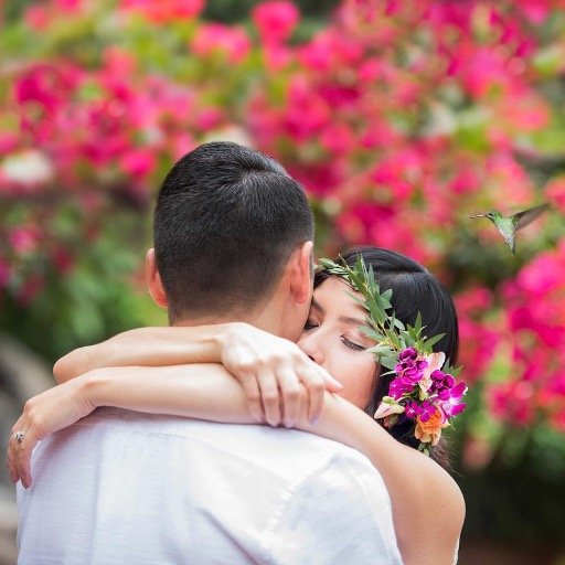 WillaKvetaPhoto's profile picture. Wedding Photographer ~ Mother ~ Lover of the Tropics, Sand on my Barefoot Feet, Gardening in my Backyard, Sun, and Rain.